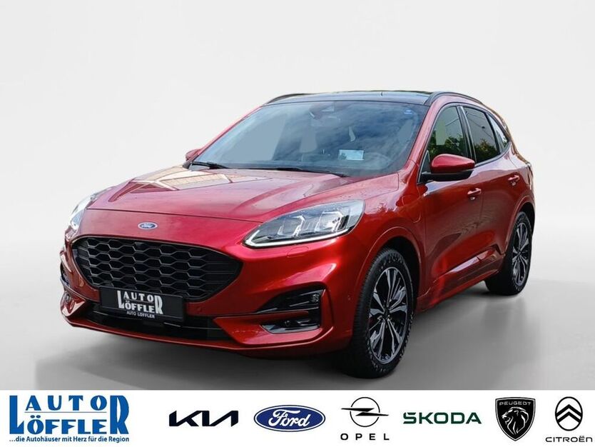Kuga