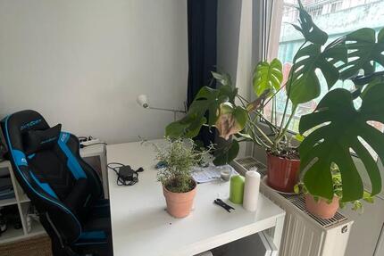 Wohnung Apartment 1 zimmer