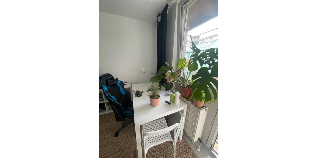 Wohnung Apartment 1 zimmer