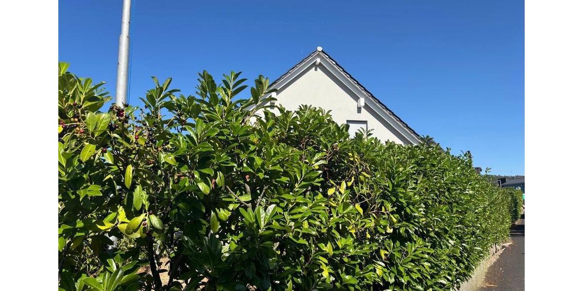 Einfamilienhaus Thüngersheim - 6 Zimmer, 164 m&sup2;, 699.999&euro; | Angebot:27144083