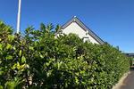 Einfamilienhaus Thüngersheim - 6 Zimmer, 164 m&sup2;, 699.999&euro; | Angebot:27144083