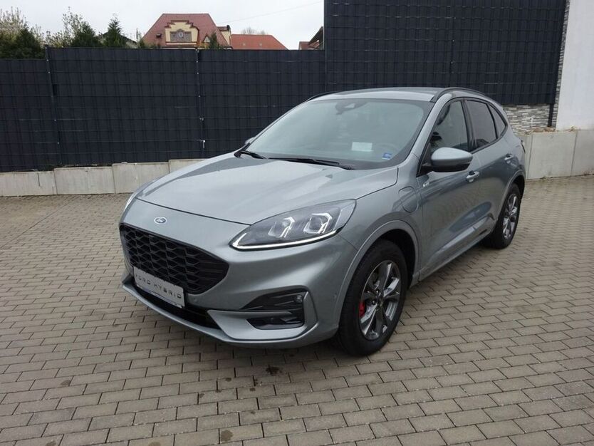 Kuga