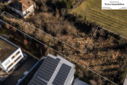 Grundstück Würzburg Frauenland - 820.000&euro; | Angebot:24601923