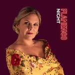 Flamenco Night