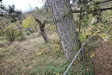 Seltenes Garten-, Wald- und Freizeitgrundstück in Würzburg Oberdürrbach!