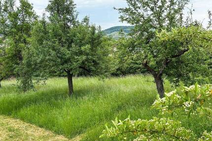 Grundstück mit gemischter Nutzungsmöglichkeit