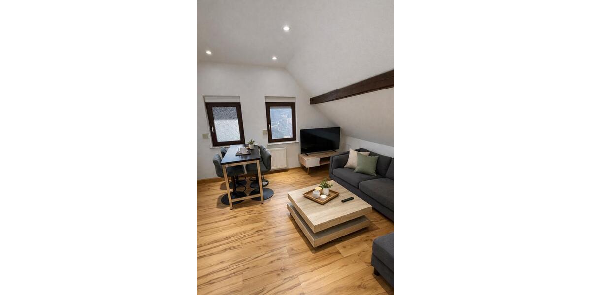 Dachgeschoßwohnung Marktheidenfeld - 2 Zimmer, 45 m&sup2;, 620&euro; | Angebot:25063957