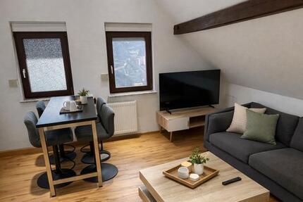 Wohnung Marktheidenfeld - 2 Zimmer, 45 m&sup2;, 620&euro; | Angebot:25063957