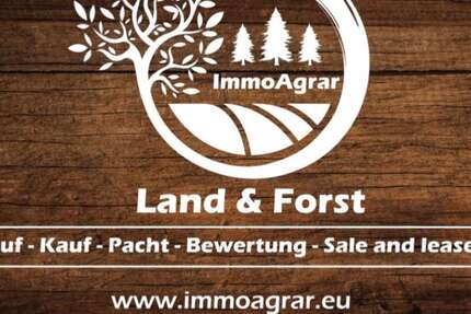 Grundstück Paimar Paimar - 520.000&euro; | Angebot:26678956