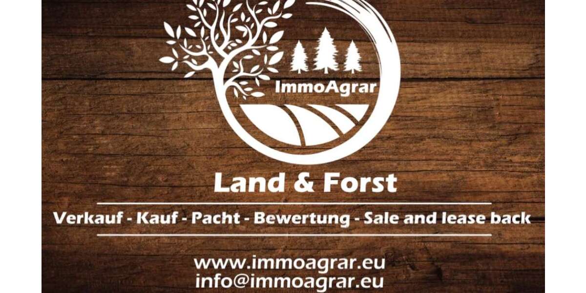 Grundstück Paimar Paimar - 520.000&euro; | Angebot:26678956