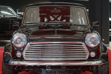 Mini Andere