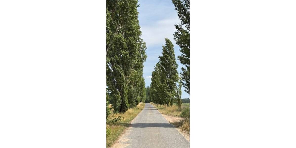 Wohnen für Individualisten in traumhafter Lage 6 zimmer