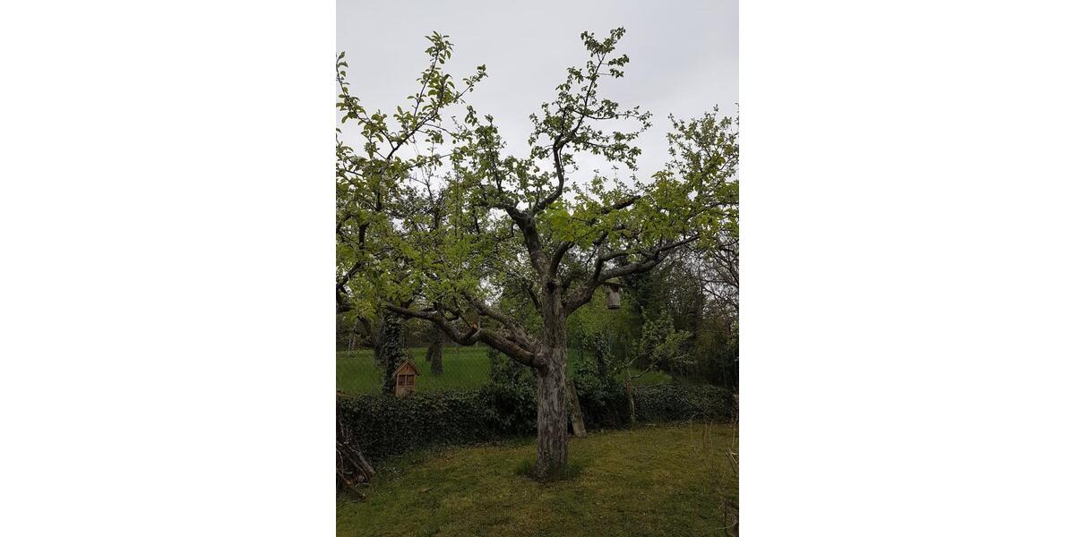 Grundstück Würzburg Lindleinsmühle - 25.000&euro; | Angebot:26047504