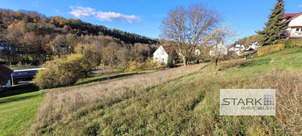 Grundstück Grünsfeld Grünsfeld-Hausen - 69.000&euro; | Angebot:23434172