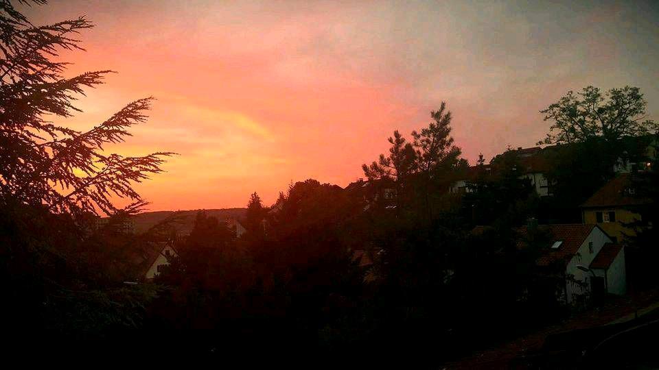 Dachgeschoßwohnung Würzburg Frauenland - 2 Zimmer, 48 m&sup2;, 233.000&euro; | Angebot:26297673