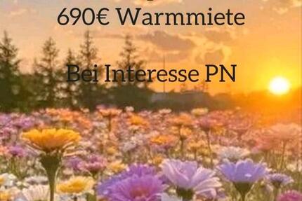 Wohnung Kleinrinderfeld - 2 Zimmer, 56 m&sup2;, 690&euro; | Angebot:26050521
