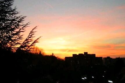 Wohnung Würzburg Frauenland - 2 Zimmer, 50 m&sup2;, 7.654.321&euro; | Angebot:26281492