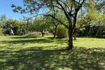 Sonniges Baugrundstück für Einfamilien-, oder Doppelhaus in einer der schönsten Lagen von Höchberg - Grundstück Höchberg | Angebot:26947539