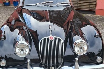 Jaguar XK 12.000 km 165.000 &euro; Würzburg 97082