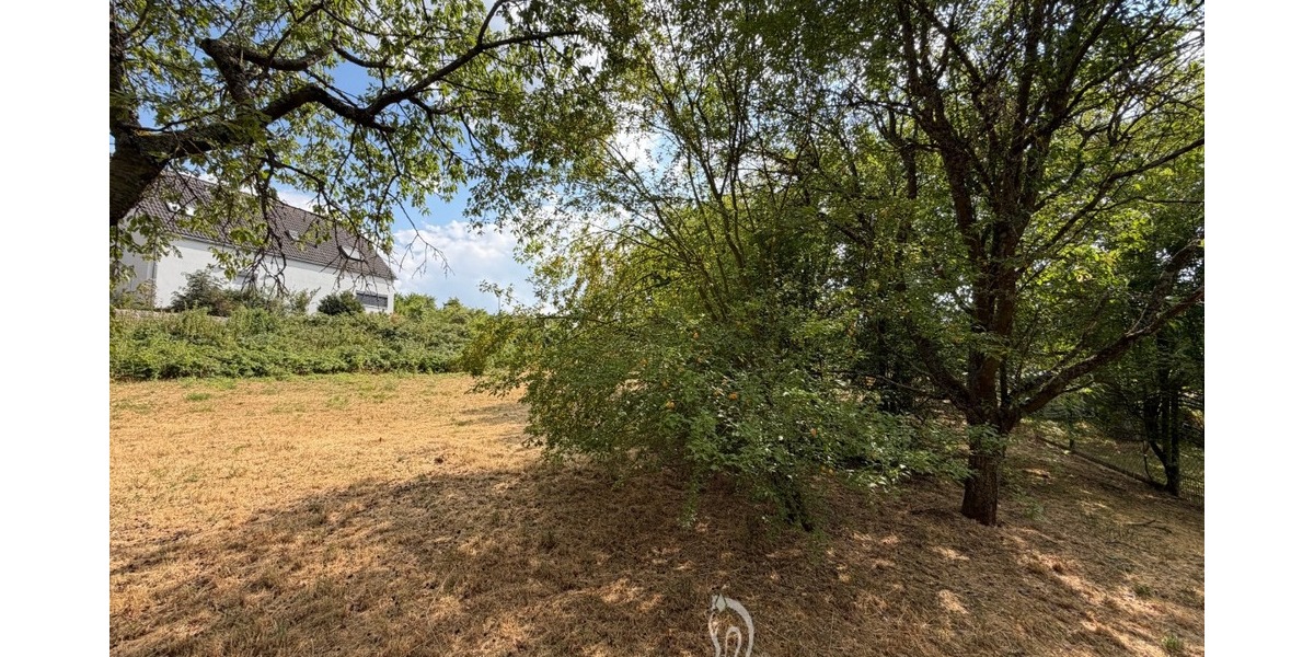 Baugrundstück mit Weitblick in einer der schönsten Lagen von Höchberg - Grundstück Höchberg | Angebot:27117466