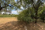Baugrundstück mit Weitblick in einer der schönsten Lagen von Höchberg - Grundstück Höchberg | Angebot:27117466