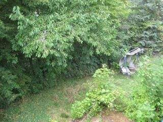 Wü-Frauenland - Einfamilienhaus mit unverbaubarem Weitblick 7 zimmer