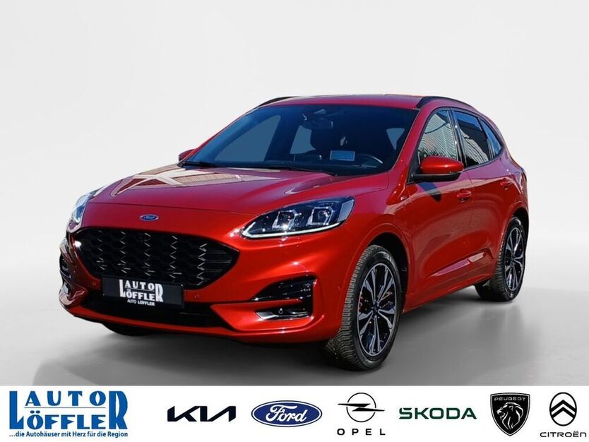 Kuga