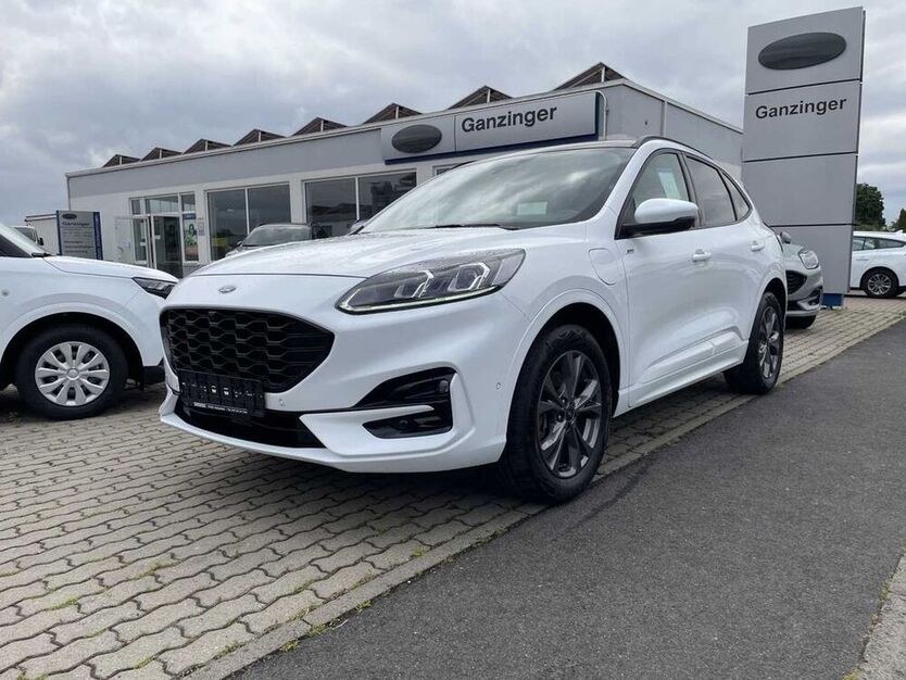 Kuga