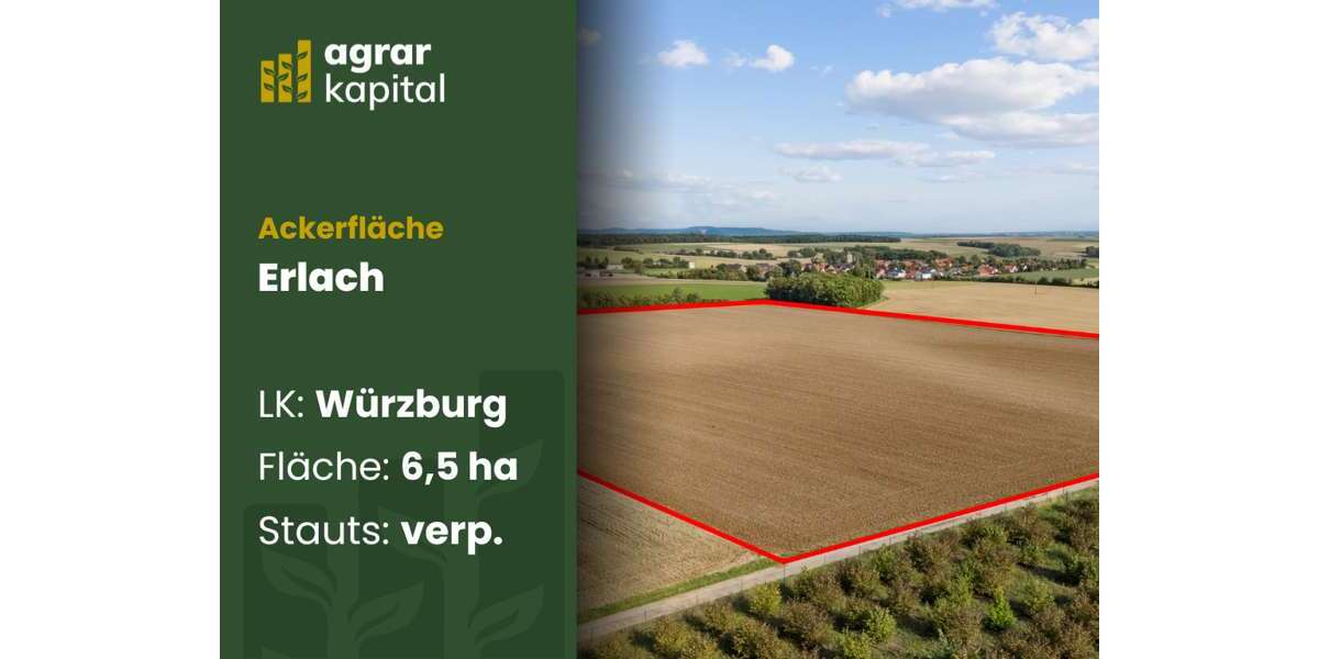 Grundstück Erlach Zeubelried - 622.000&euro; | Angebot:23997598