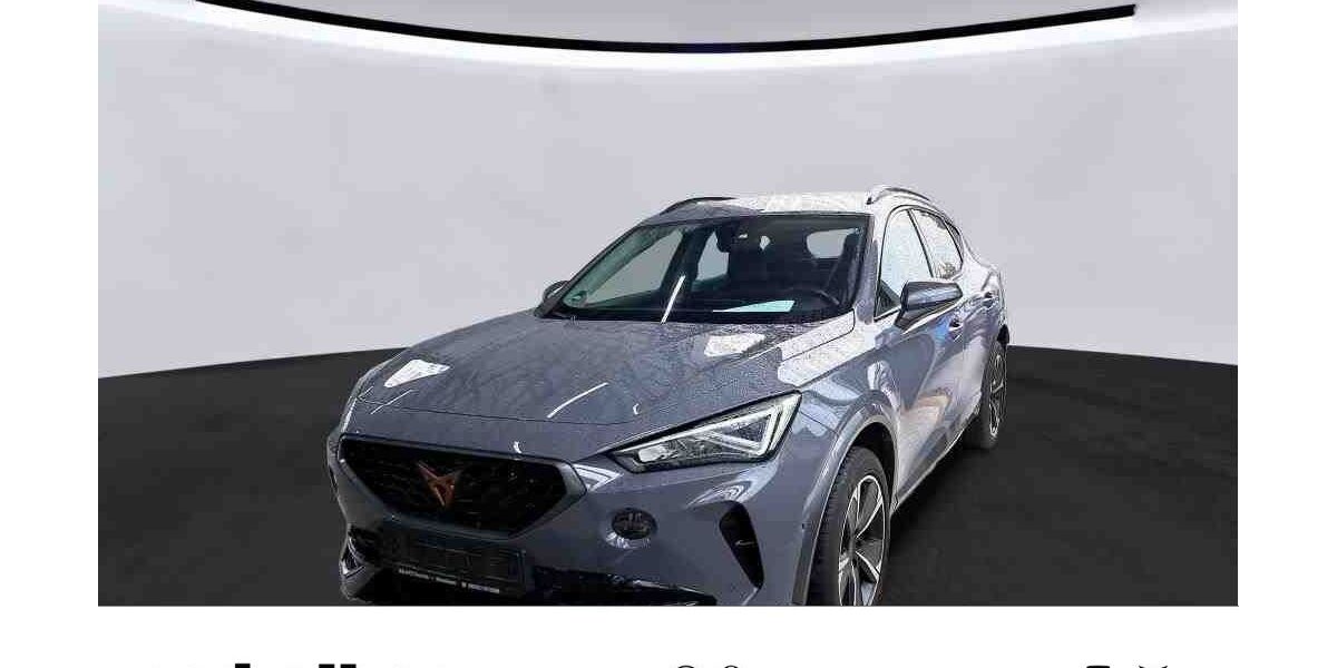 Cupra Formentor 91.500 km 25.480 &euro; Kitzingen 97318
