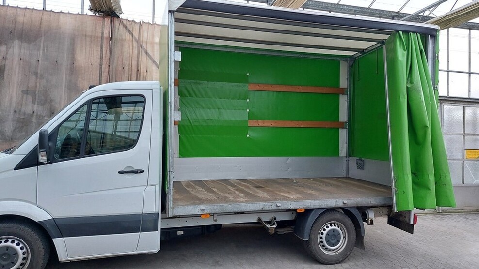 Sprinter