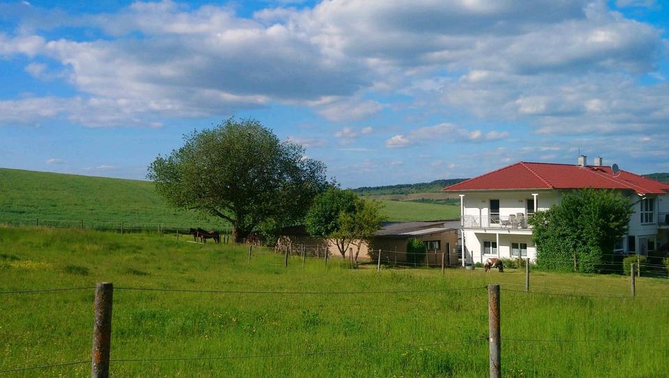 Mehrfamilienhaus, Wohnhaus Leinach - 1.500.000&euro; | Angebot:27195572