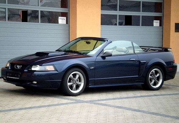 Mustang