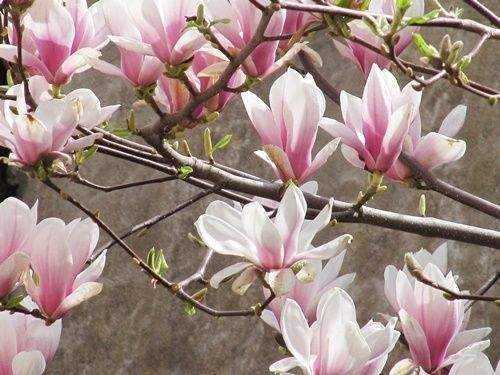 Bauernhaus, Landhaus Gaukönigshofen Eichelsee - 1 Zimmer, 300 m&sup2;, 329.000&euro; | Angebot:25706318