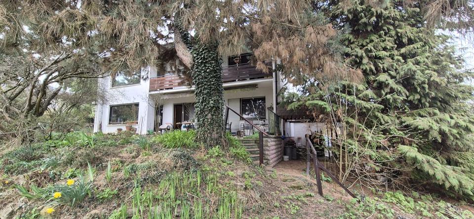 Mehrfamilienhaus, Wohnhaus Zellingen - 899.000&euro; | Angebot:25840281