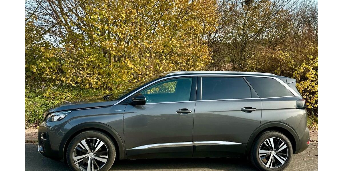 Peugeot 5008 130.000 km 18.111 &euro; Kleinrinderfeld 97271
