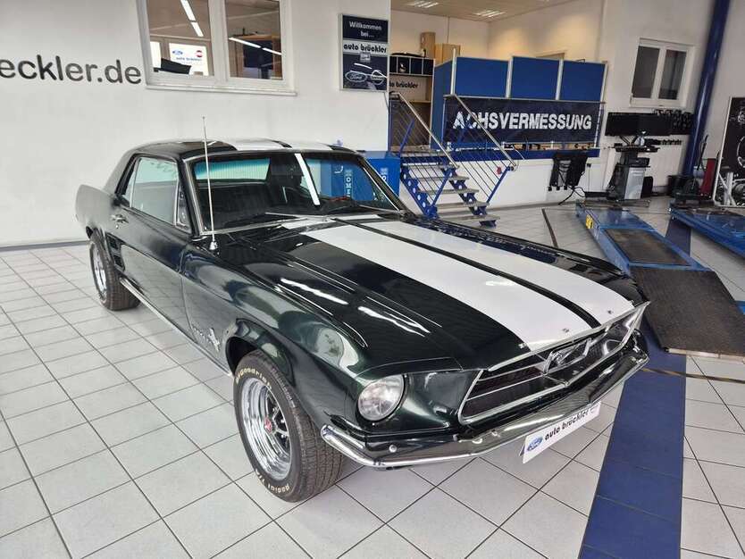 Mustang