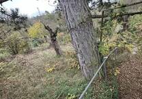 Seltenes Garten-, Wald- und Freizeitgrundstück in Würzburg Oberdürrbach!