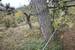 Seltenes Garten-, Wald- und Freizeitgrundstück in Würzburg Oberdürrbach!