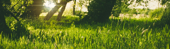 Natur und Ausflugsziele in Franken