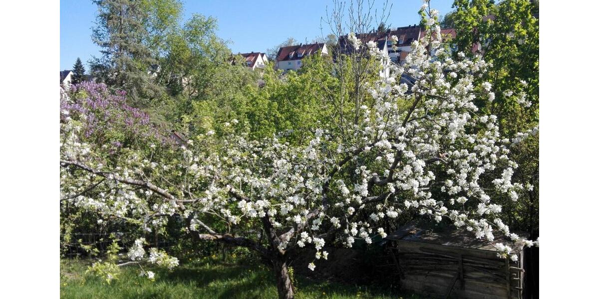 Grundstück Würzburg Lindleinsmühle - 25.000&euro; | Angebot:26047504