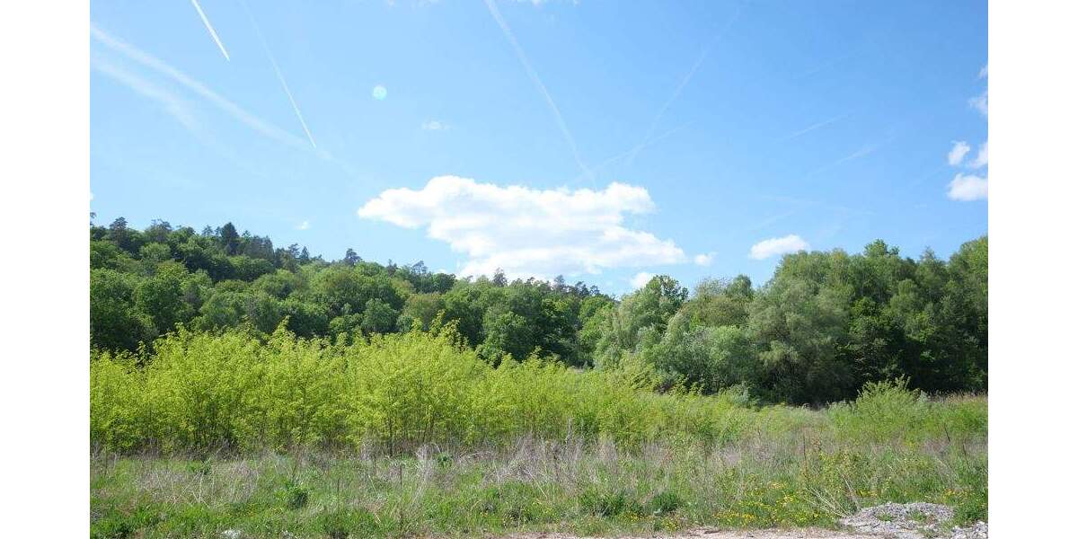 Doppelhaushälfte Marktheidenfeld - 5 Zimmer, 130 m&sup2;, 362.000&euro; | Angebot:25676311