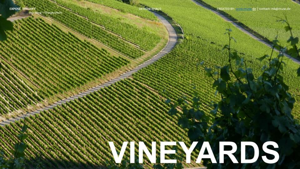 Loft - Studio - Atelier Thüngersheim - 1 Zimmer, 100 m&sup2;, 455.000&euro; | Angebot:24781315