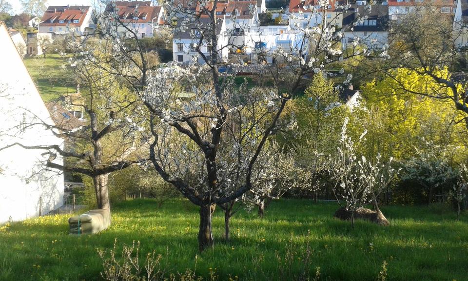 Grundstück Würzburg Lindleinsmühle - 25.000&euro; | Angebot:26047504