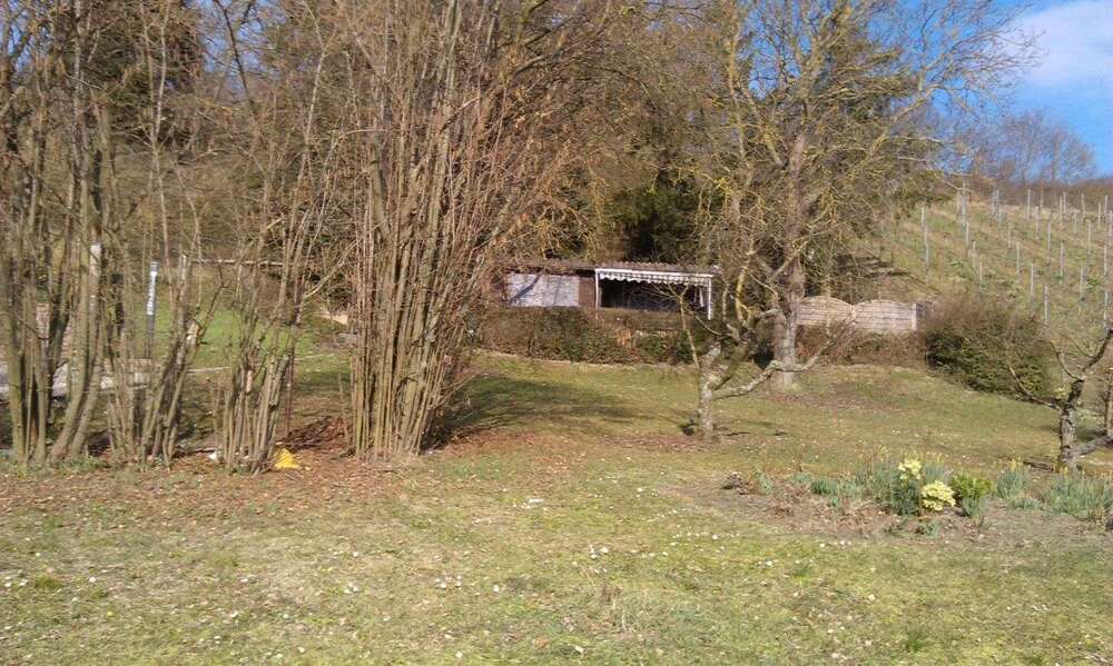 Grundstück Buchbrunn - 105.000&euro; | Angebot:26106944