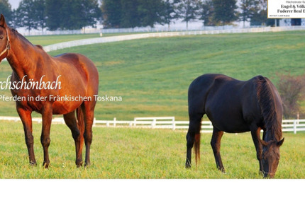 Wohnen mit Pferd - Hochwertige Wohnangebote der Luxusklasse zimmer