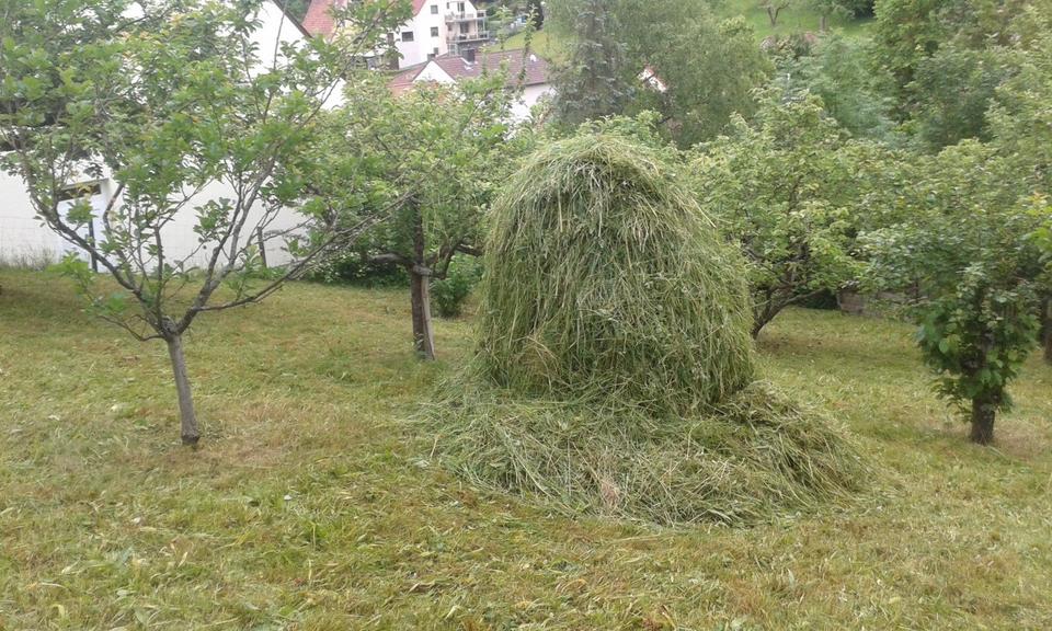 Grundstück Würzburg Lindleinsmühle - 25.000&euro; | Angebot:26047504