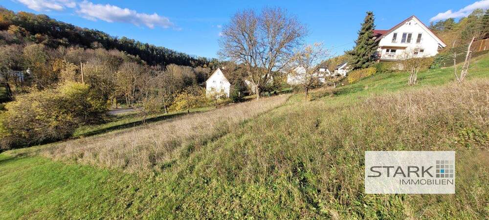 Grundstück Grünsfeld Grünsfeld-Hausen - 69.000&euro; | Angebot:25731164