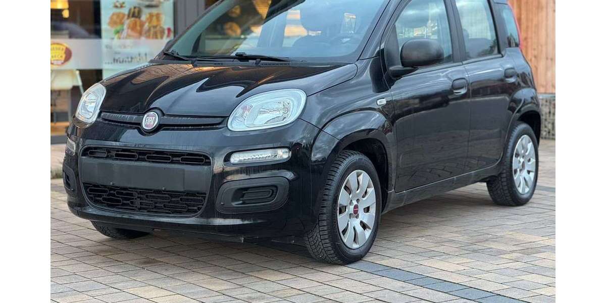 Fiat Panda 149.980 km 3.580 € Werneck 97440
