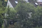 Kleiner versteckter Traum mit viel Grünfläche! Mehrfamilienhaus in 97074 Würzburg-Frauenland (ID 92) 14 zimmer